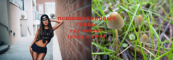 ALPHA-PVP Медногорск